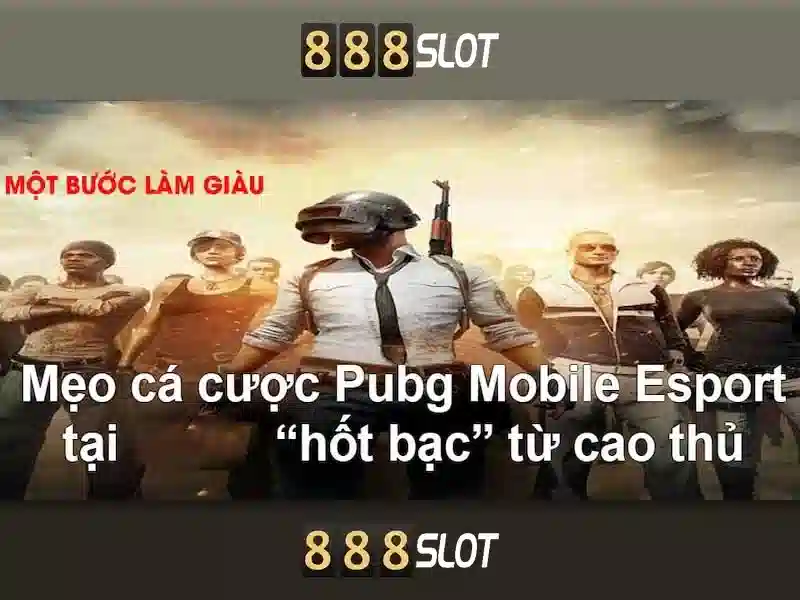 Cách đăng ký và hỗ trợ khách hàng
