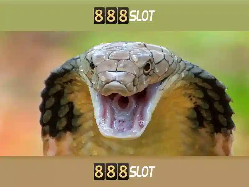 888 slot login: Kết nối an toàn, trải nghiệm chất lượng