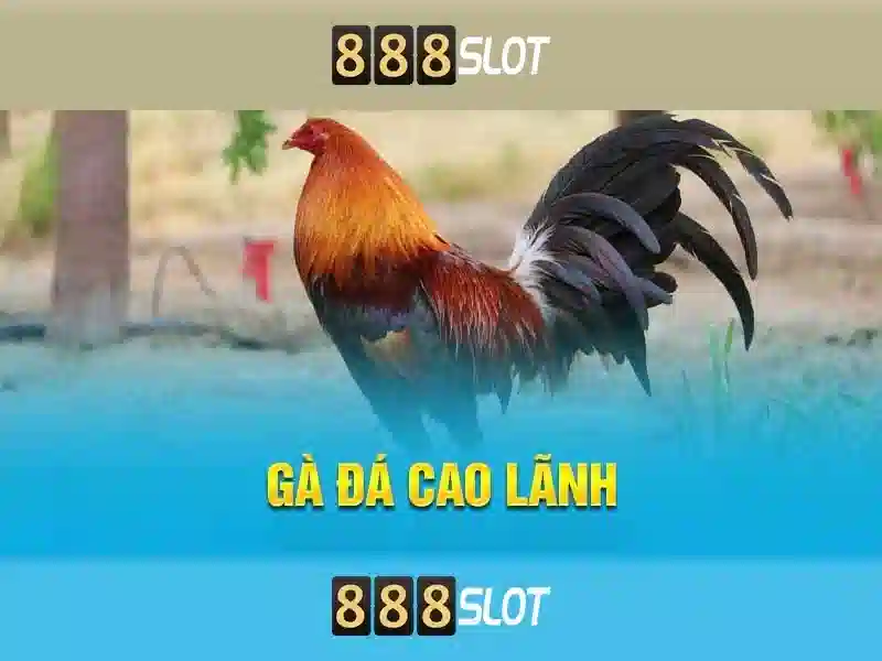 Các sản phẩm và dịch vụ của 888 slot apk download