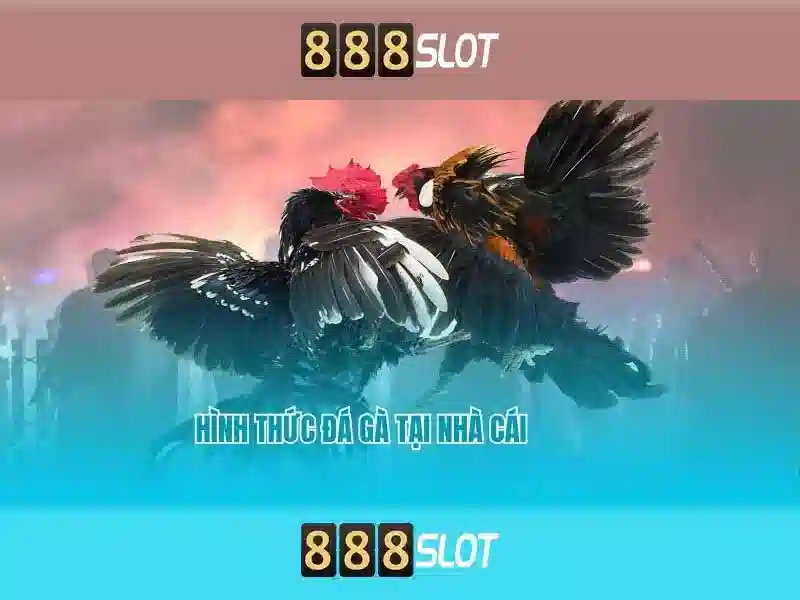 888slot: Đánh giá nền tảng trò chơi slot trực tuyến