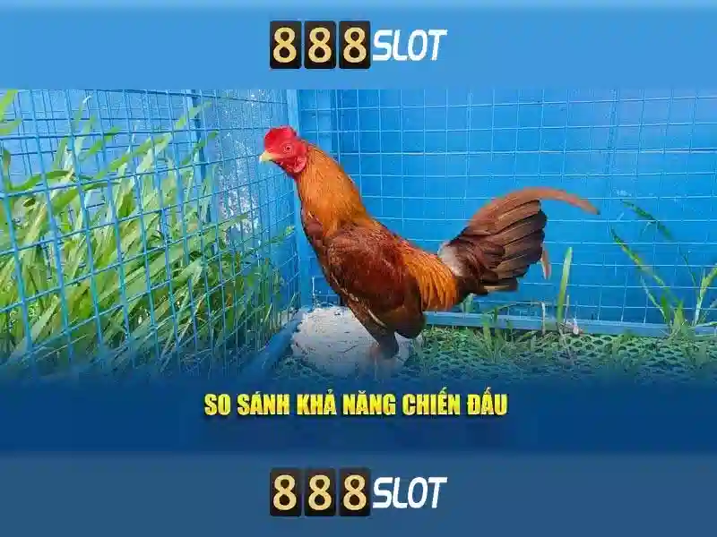 Giới thiệu về 888slot