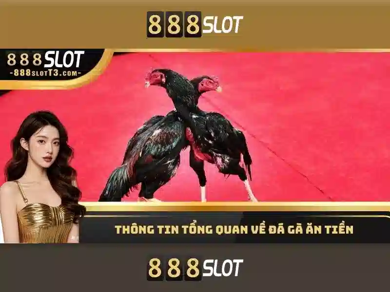 'Phản hồi người dùng về asgard 888 slot'