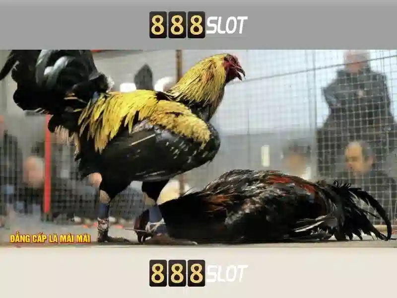Khu vực khuyến mãi và thanh toán