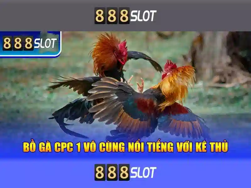 Các chức năng nổi bật