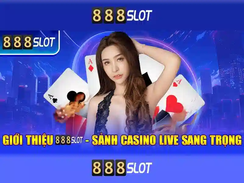 Giao diện và trải nghiệm người dùng