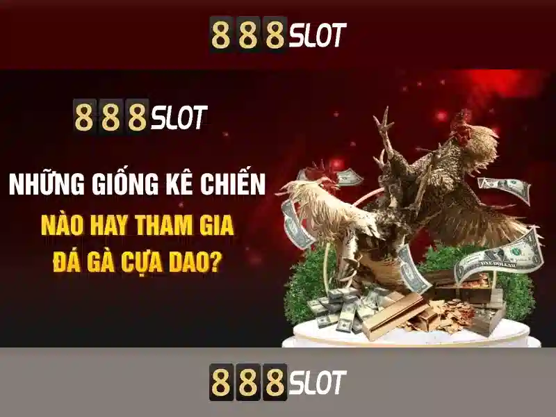 Giao diện và trải nghiệm người dùng