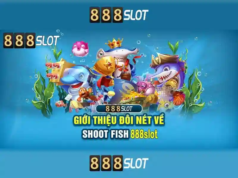 Khuyến mãi và thanh toán