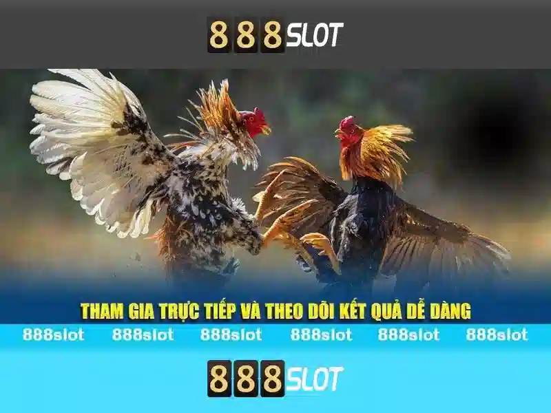 888slot - Trải nghiệm casino trực tuyến và trò chơi slot hàng đầu