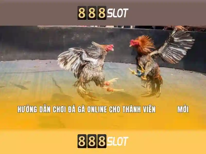 888slot: Đánh giá tổng quan và trải nghiệm
