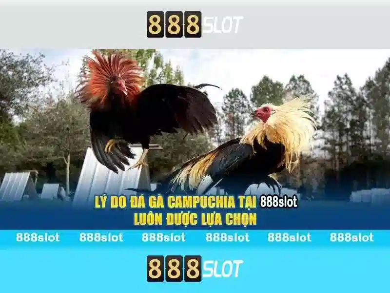 888slot: Nền tảng slot trực tuyến nổi bật