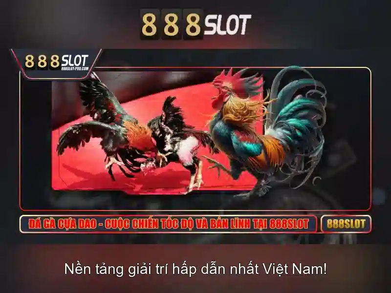 Kết luận về 888slot