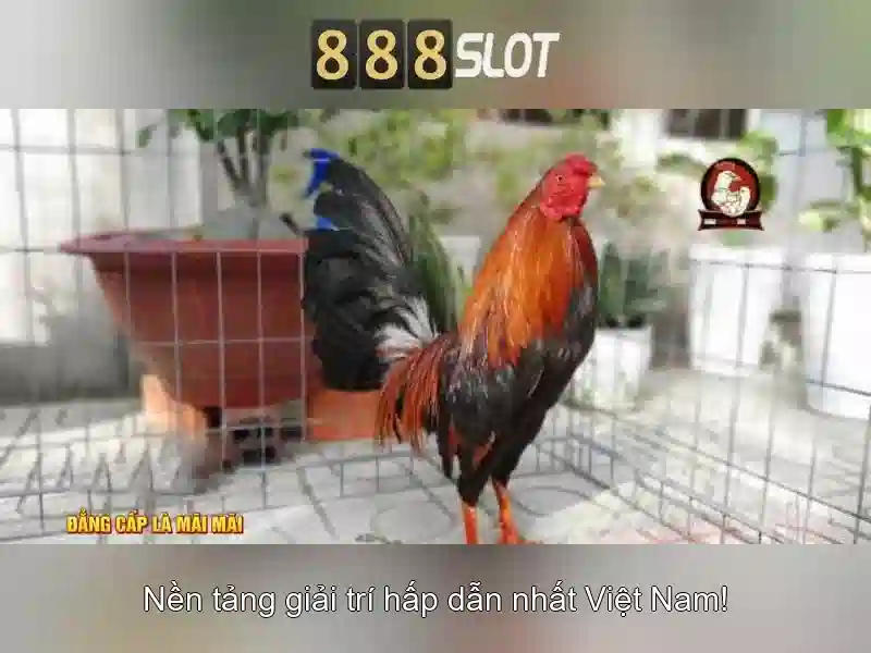 fortune slot 888 – Khám phá cơ hội và trải nghiệm đỉnh cao