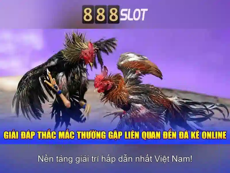 Uy tín và an toàn