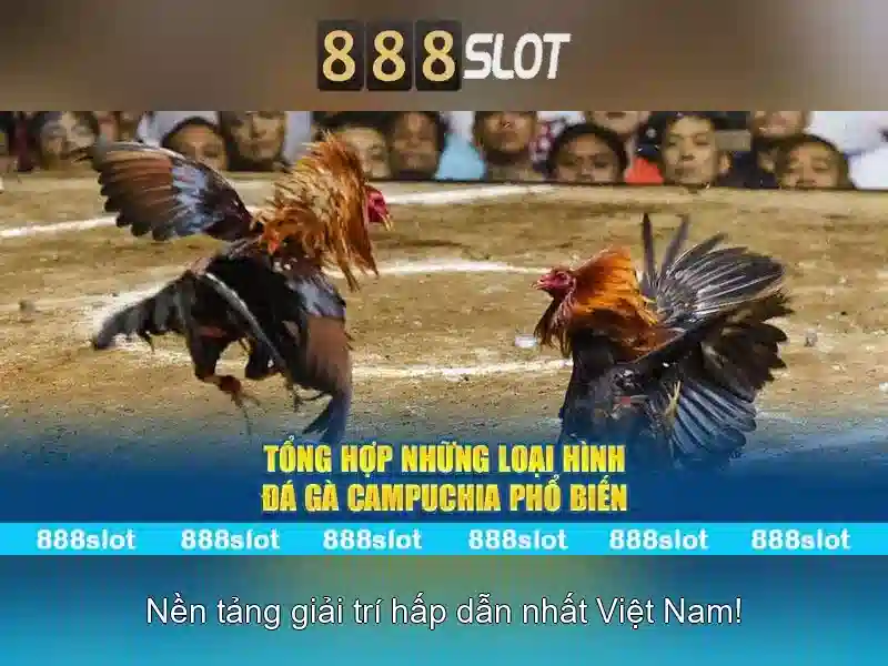 An toàn và thanh toán