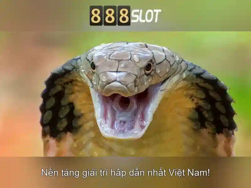 Lợi thế và cạnh tranh