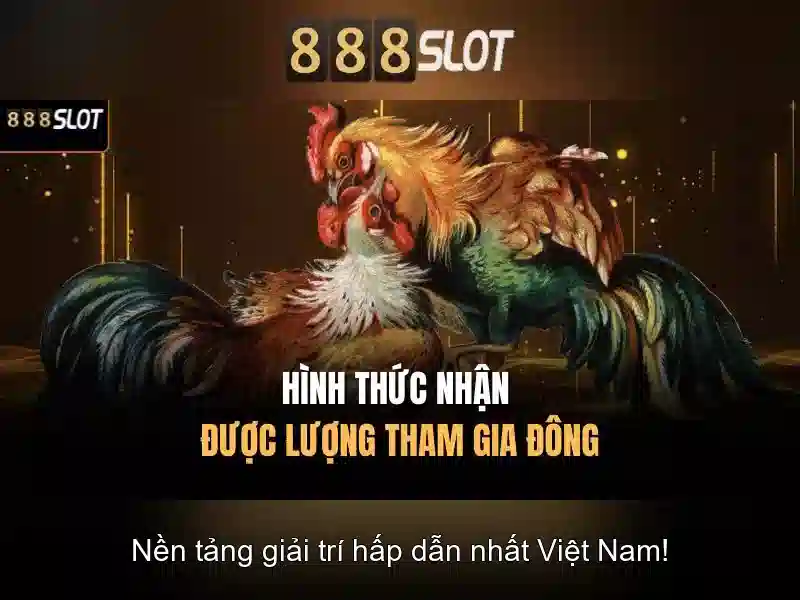 Khuyến mãi và chương trình thưởng