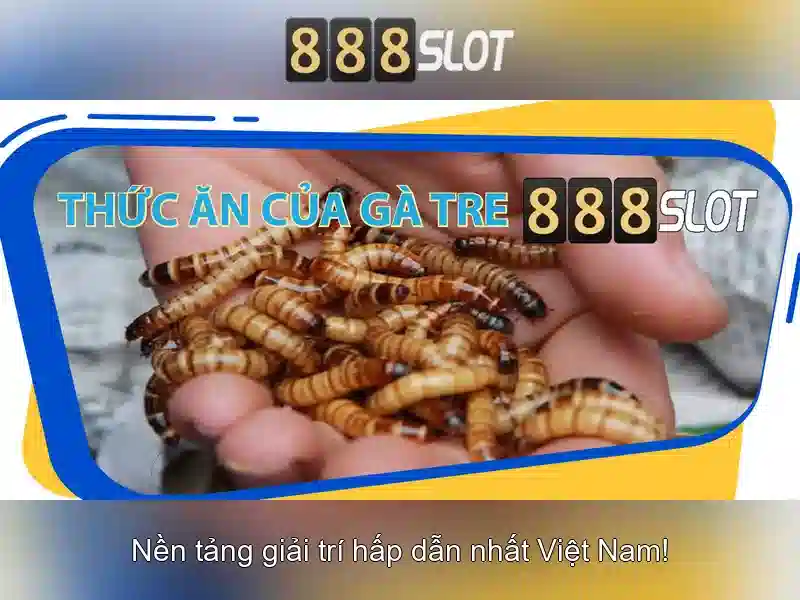 An toàn và thanh toán