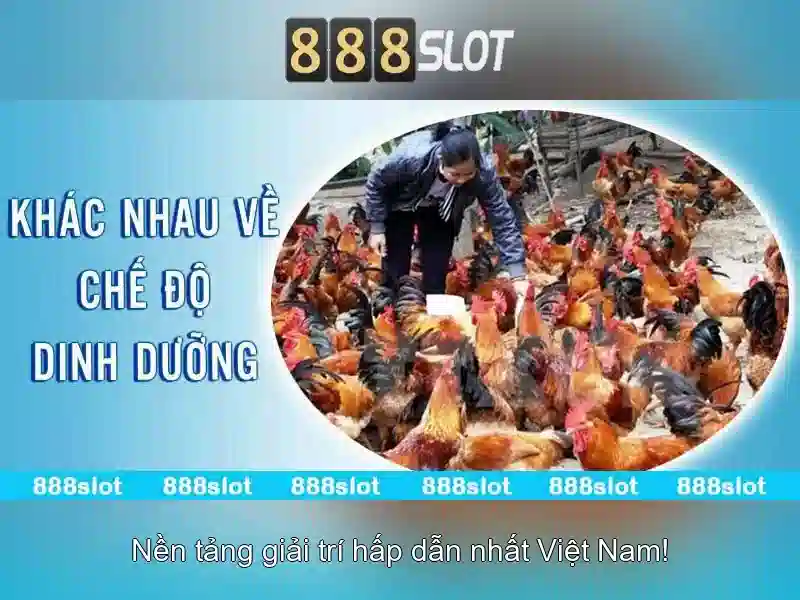 Đa dạng trò chơi khe và trải nghiệm người dùng