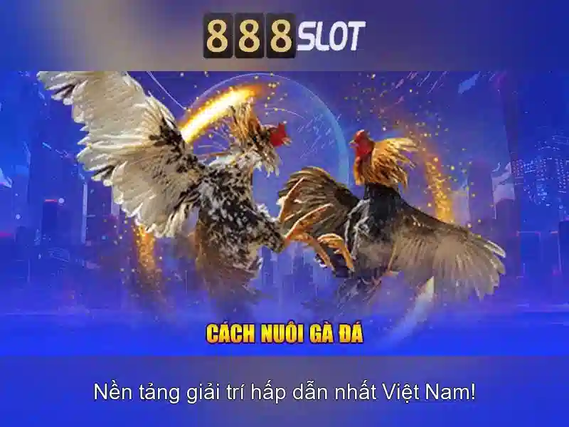 888slot – Đánh giá nền tảng chơi slot trực tuyến hàng đầu